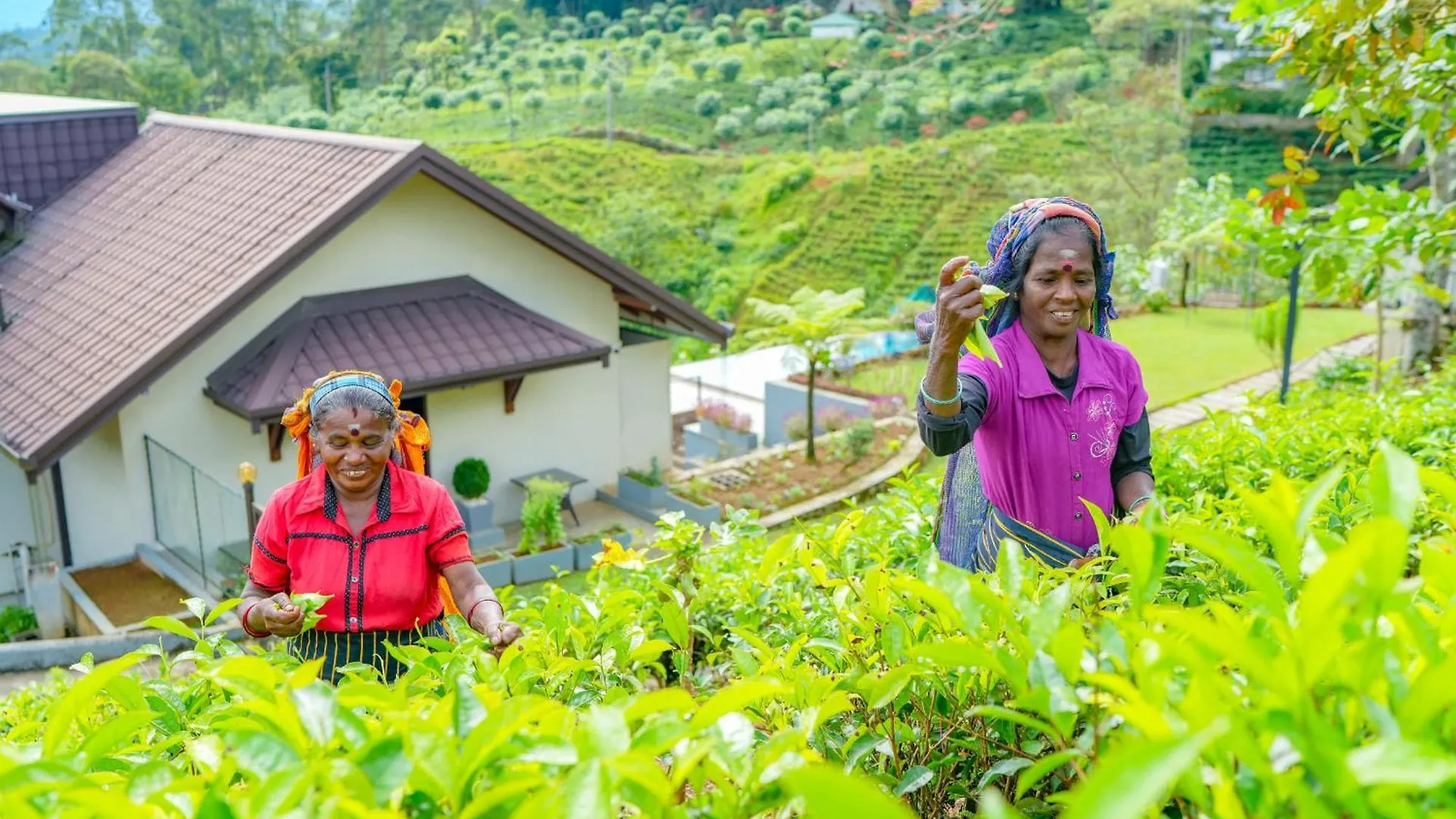 La Casa Lindula Villa Eliya Nuwara Eliya