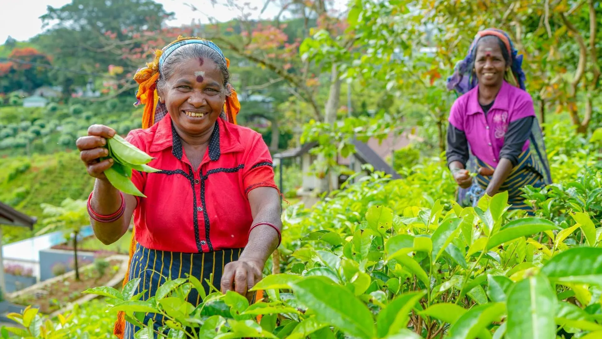 La Casa Lindula Villa Eliya Nuwara Eliya Sri Lanka